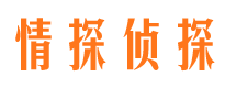 屏边市侦探调查公司